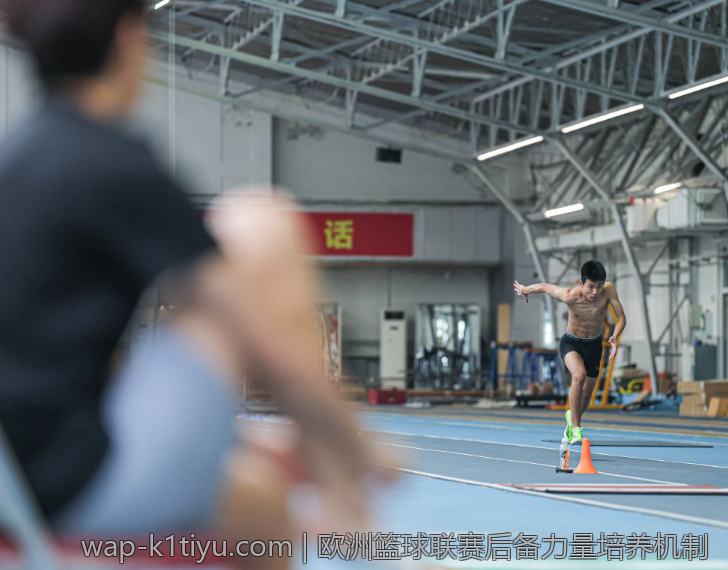 欧洲篮球联赛后备力量培养机制