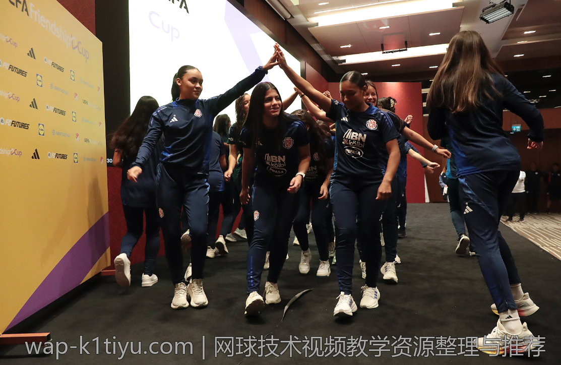 网球技术视频教学资源整理与推荐